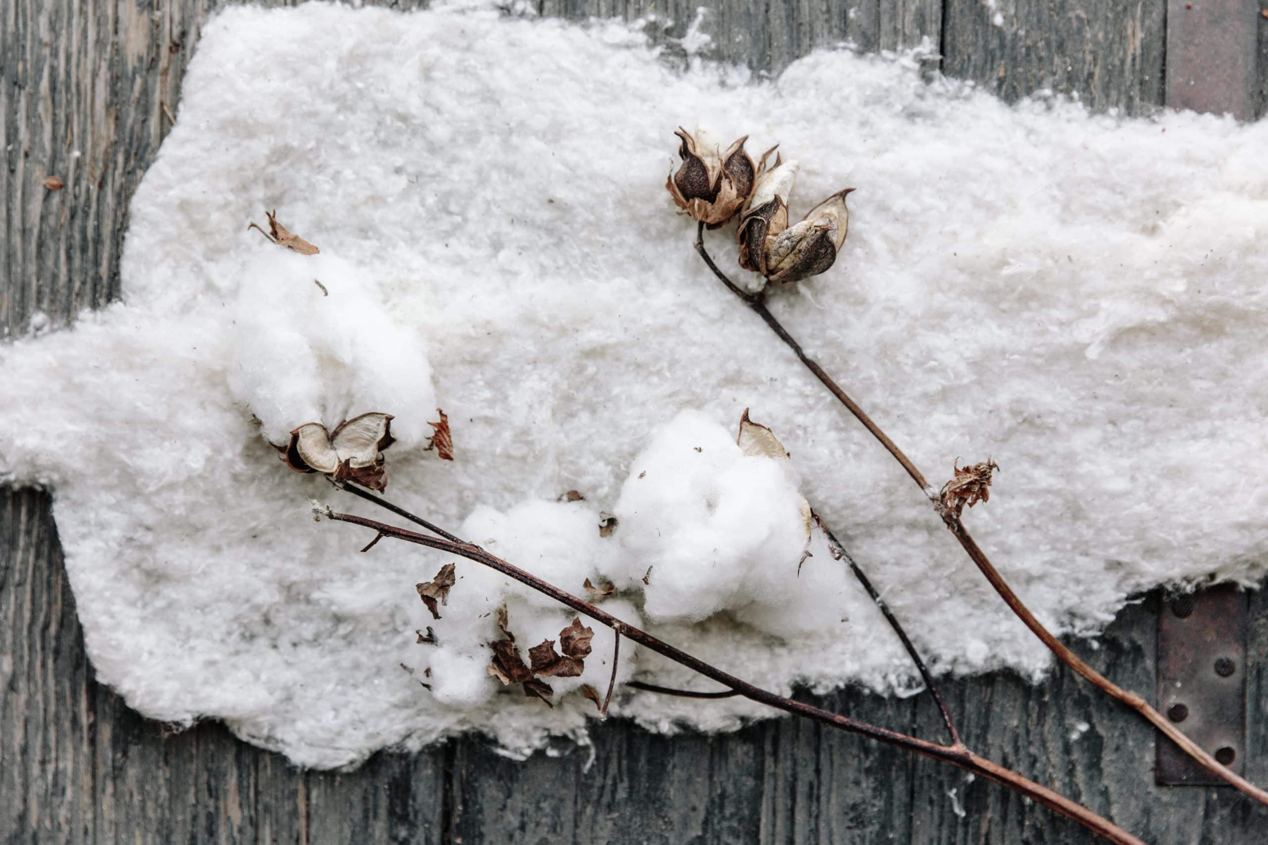 five benefits of cotton you may not know