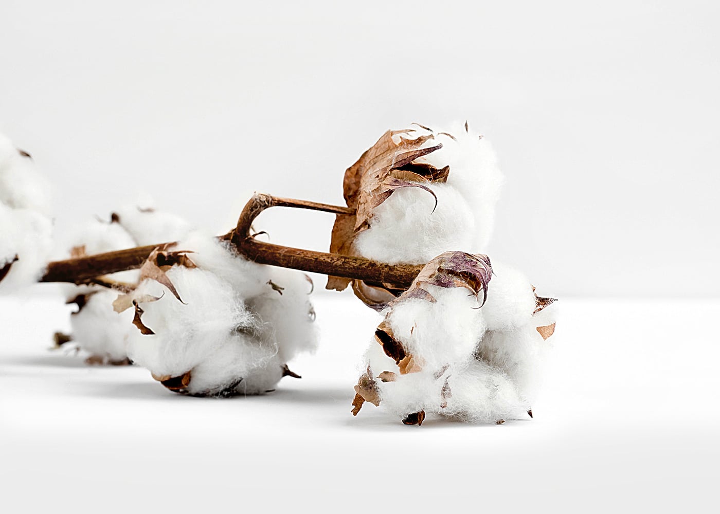 U.S. Grown Cotton