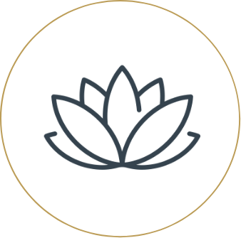 Chiropractors Referrals Group 6496 organic