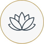 Rest Well, Gather Better: How Sleep Transforms Your Holiday Season Group 6693