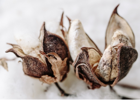 Concierge natural materials