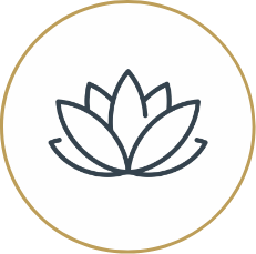 Presidents Day Sleep Event Group 7021