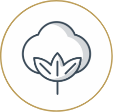 Presidents Day Sleep Event Group 7023