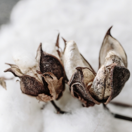 Presidents Day Sleep Event cotton 1