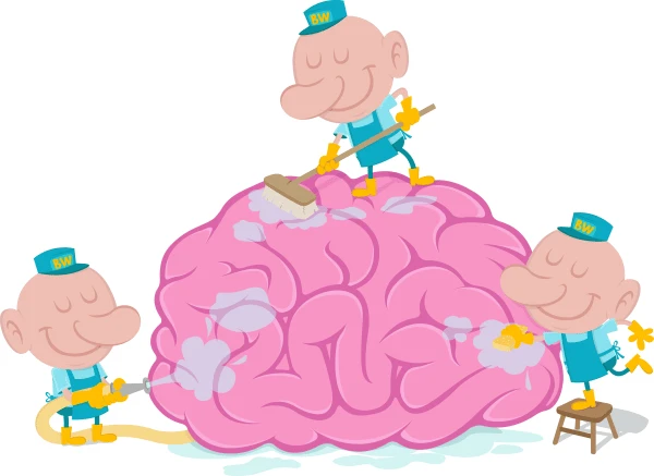 how sleep cleans the brain