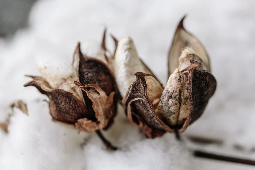 what are the benefits of using natural materials in mattresses?