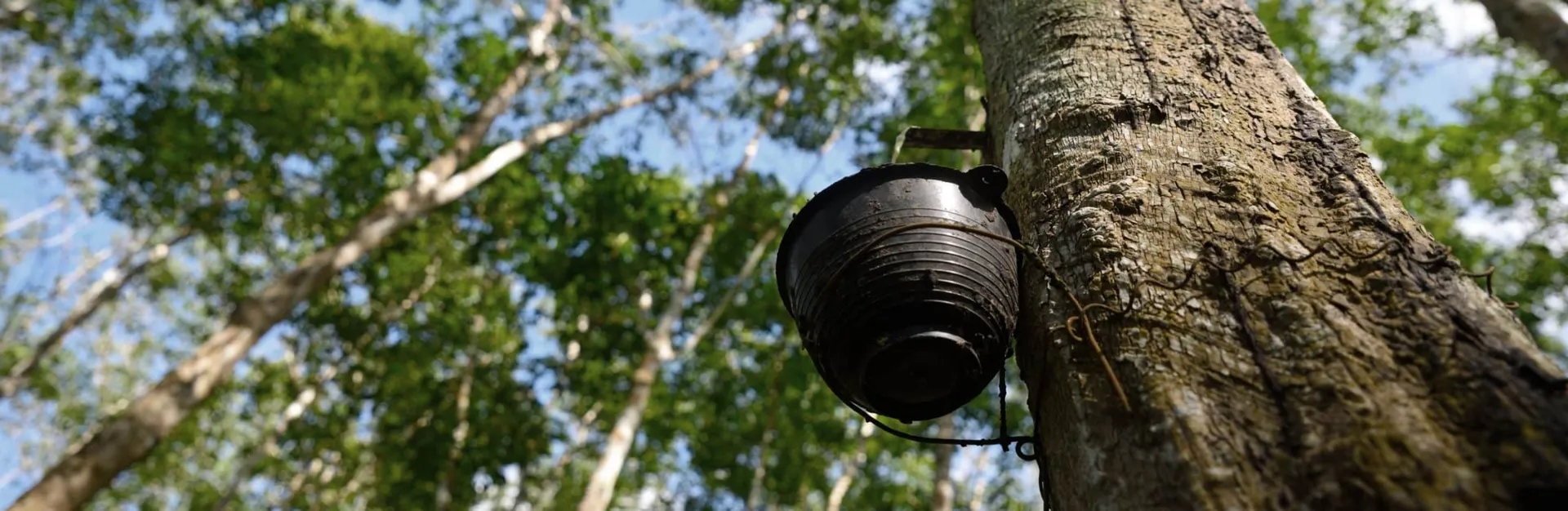 Natural Materials reserve mattress scaled