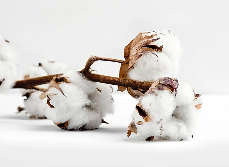 Healthy Sleep Habits:<br> The Cool Path to Well-Being CCM natural june 11