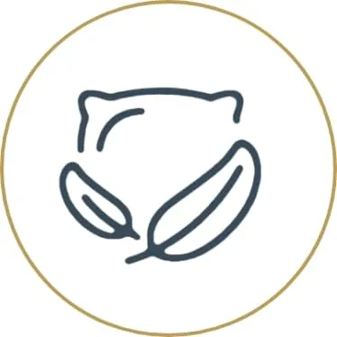 Healthy Sleep Habits: <br>Spring Ahead Without Losing Your Zzz's comfort