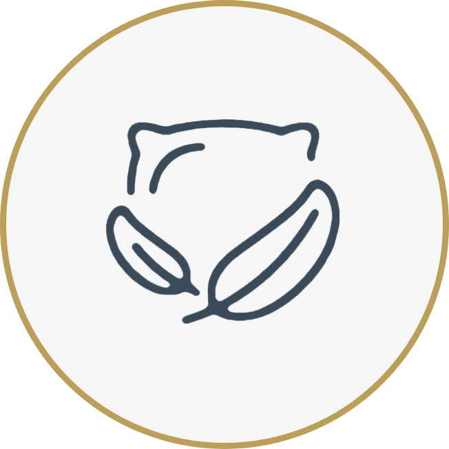 Healthy Sleep Habits:<br>Quiet Reflection for Better Sleep Group 5050