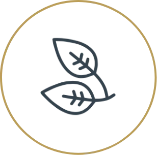 Celebrate the Gift of Pure Serenity - December 2025 Group 5960