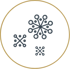 Celebrate the Gift of Pure Serenity - December 2025 Group 6309