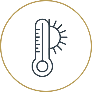 Celebrate the Gift of Pure Serenity - December 2025 Group 6335