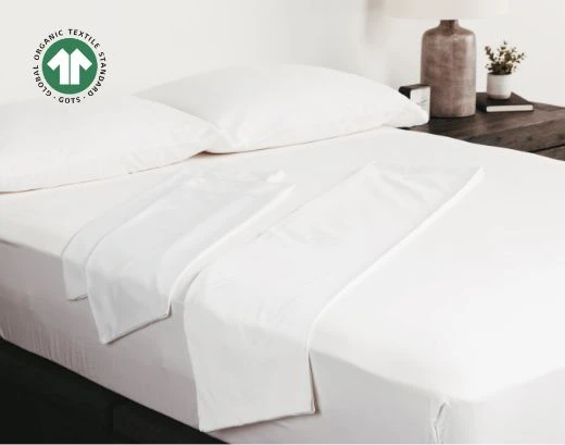 Celebrate the Gift of Pure Serenity - December 2025 Group 6379