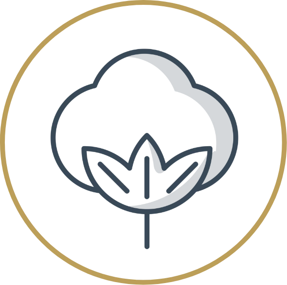 Too Much Data, Too Little Rest? 365 night