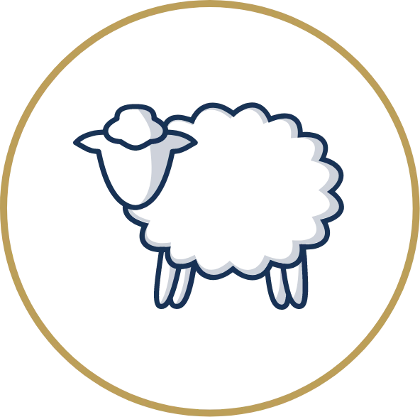 Too Much Data, Too Little Rest? premium