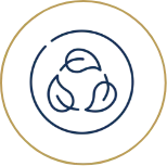 Realize Yourself, Beautifully Supported - Jan 26 Group 6672