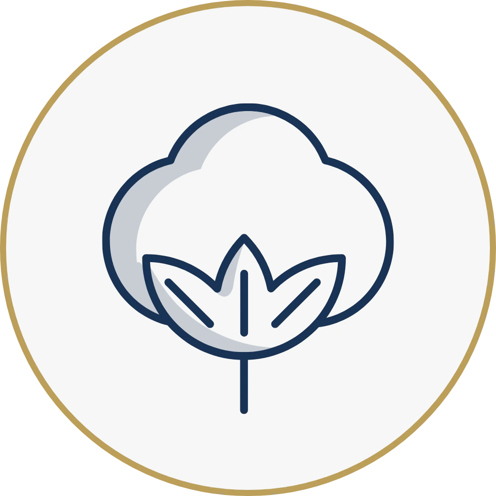 Why Staying Asleep Matters More Than Falling Asleep Group 7026