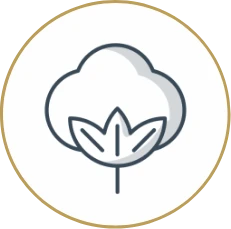 Presidents Day Sleep Event Group 7023