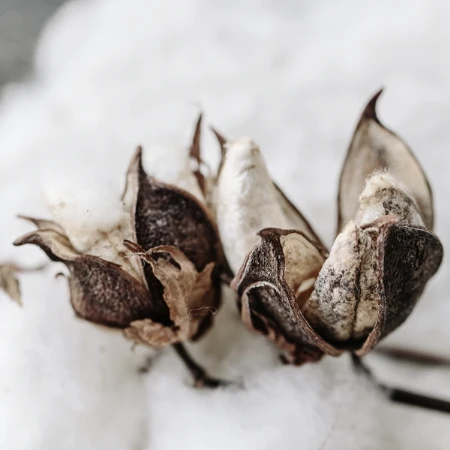 Spring Sleep Event cotton 1