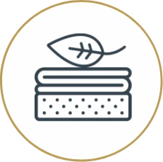 Spring Sleep Event Group 7290