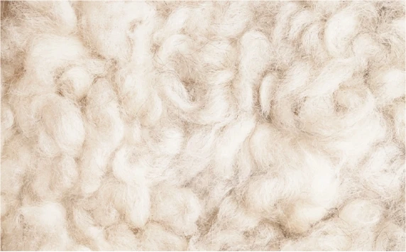 Memorial Day Sleep Event - 50% Off the Limited Edition Hollis Mattress wool material