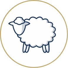 Memorial Day Sleep Event - 50% Off the Limited Edition Hollis Mattress wool