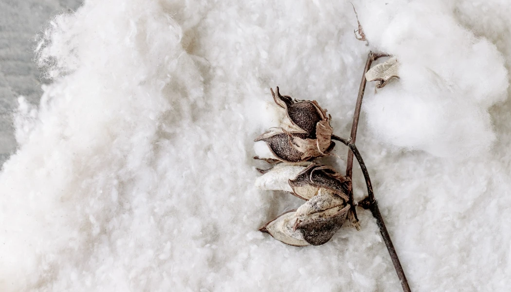 Healthy Sleep Habits:<br>Choose Rest That’s Truly Yours Natural cotton No Fade